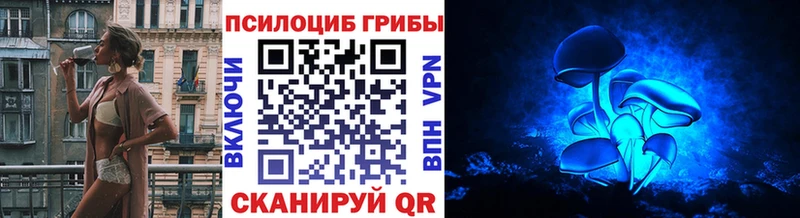 Псилоцибиновые грибы Psilocybine cubensis  Торжок 